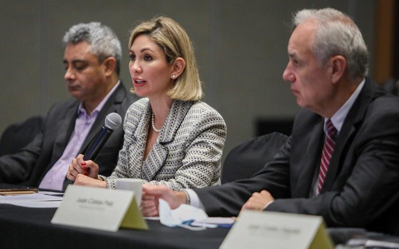 La viceministra Francisca Cárdenas participó en la presentación del estudio.