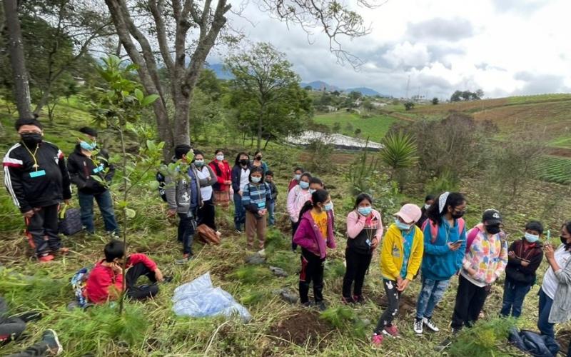 Estudiantes plantan 350 árboles en Santa Cruz Balanyá