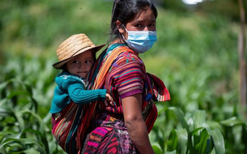 Secretaría de Seguridad Alimentaria y Nutricional 