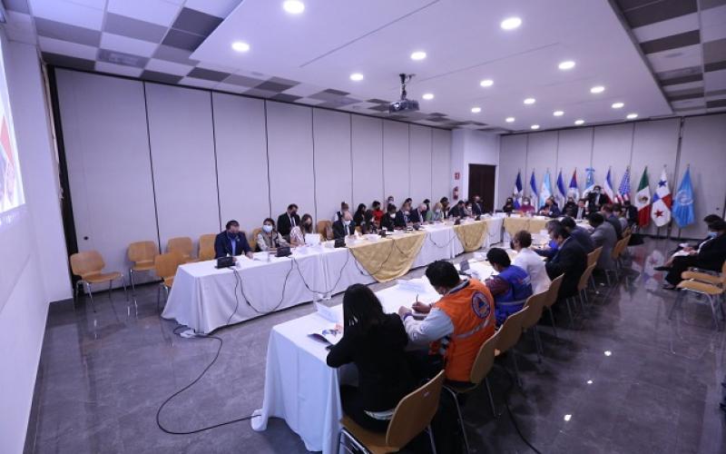 Minex presenta hoja de ruta para abordaje interinstitucional de la migración irregular