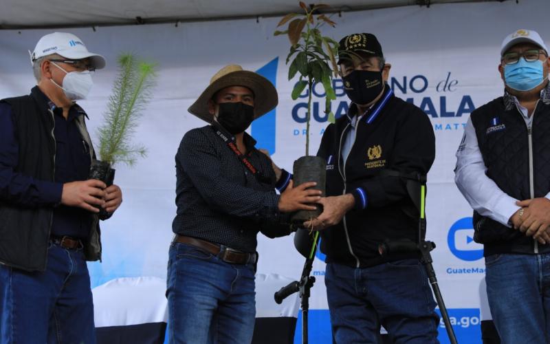 Presidente Alejandro Giammattei 