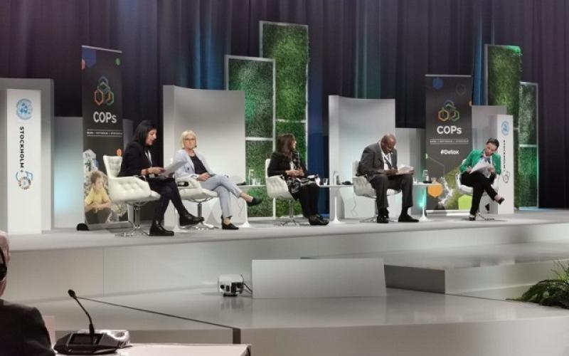 Guatemala participa en Segmento de Alto Nivel de las Reuniones de las Conferencias de las Partes de los Convenios de Basilea, Rotterdam y Estocolmo