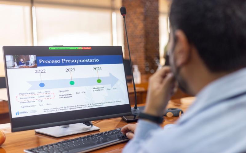 Proceso presupuestario 