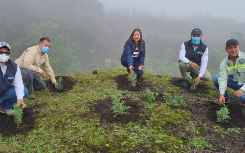 Reforestan en Escuintla áreas de importancia para la recarga hídrica