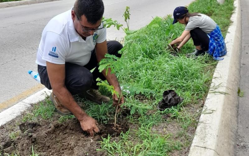 Destacan importancia de los árboles y la reforestación en El Progreso 