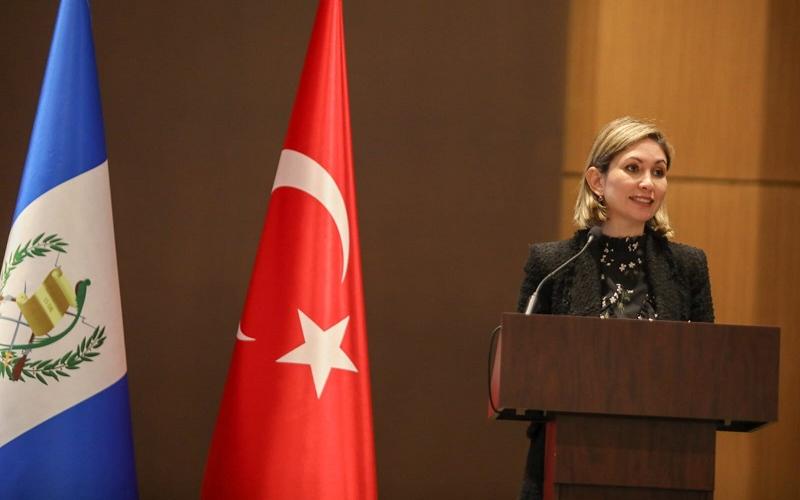 La Viceministra de Inversión y Competencia, Francisca Cárdenas, durante su participación en la activiadad.