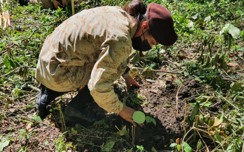 Jóvenes reforestan la cuenca del lago Petén Itzá