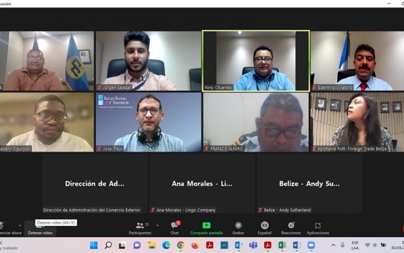 Los técnicos guatemaltecos y beliceños se reunieron en forma digital.