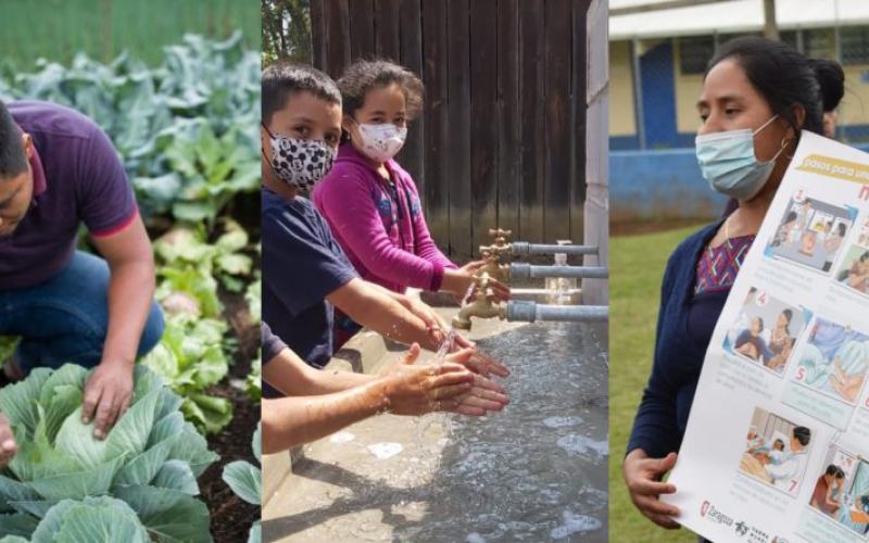 Secretaría de Seguridad Alimentaria y Nutricional 