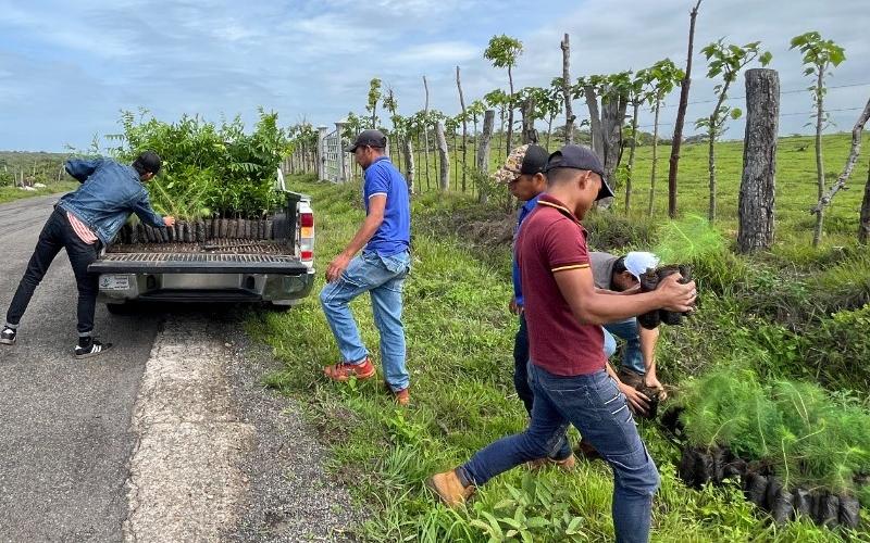 #RetoMARN: Jutiapa lleva a cabo jornada de limpieza y reforestación