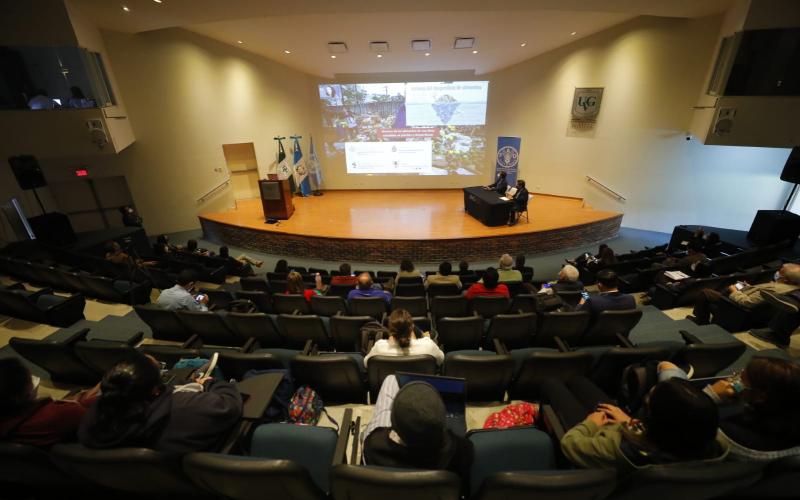 Secretaría de Seguridad Alimentaria y Nutricional 