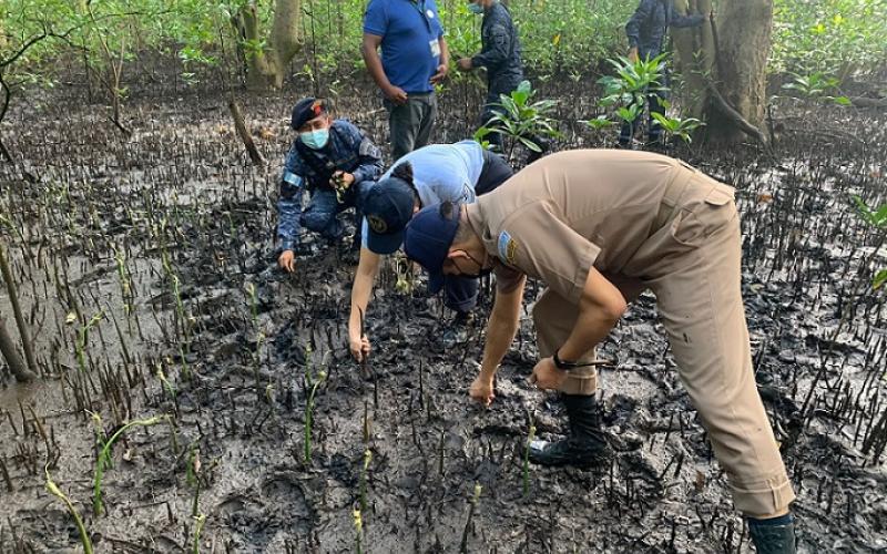 Marina de la Defensa Nacional conmemora el Día Internacional de la Defensa del Ecosistema Manglar
