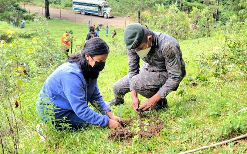 Soldados del Ejército de Guatemala sembraron 256,110 árboles para contribuir al cuidado del ambiente