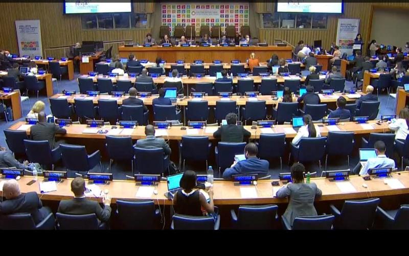 Foro Político de Alto Nivel 2022