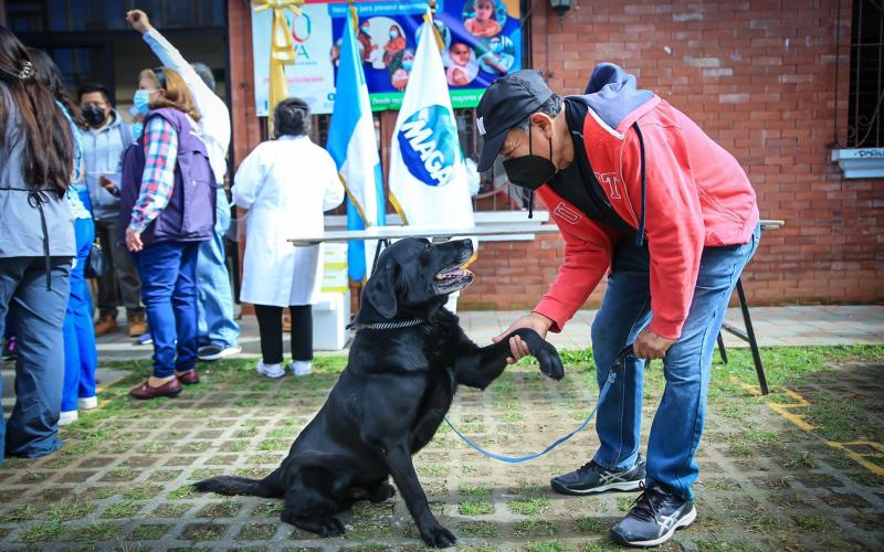 Sacatepéquez realizó jornada masiva de vacunación contra la rabia 