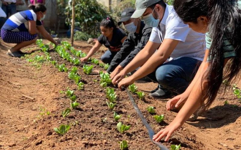 Secretaría de Seguridad Alimentaria y Nutricional 