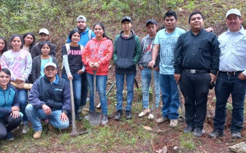 Áreas boscosas de Quiché son restauradas con el #RetoMARN