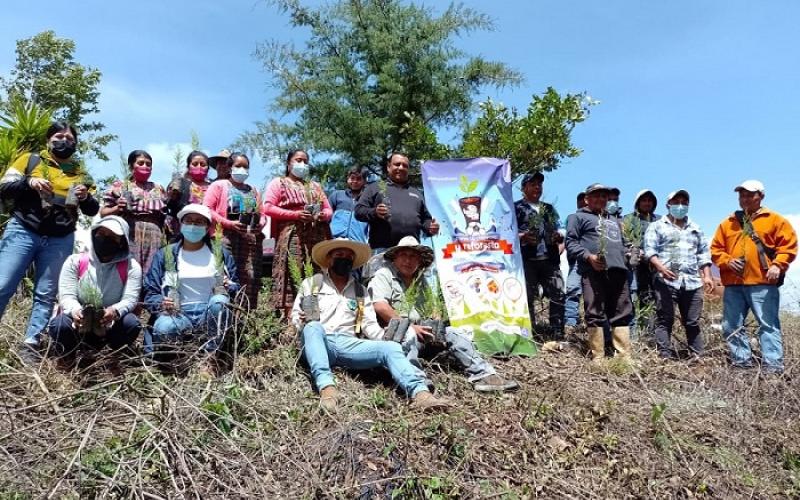 Patzún planta más árboles para proteger el medioambiente