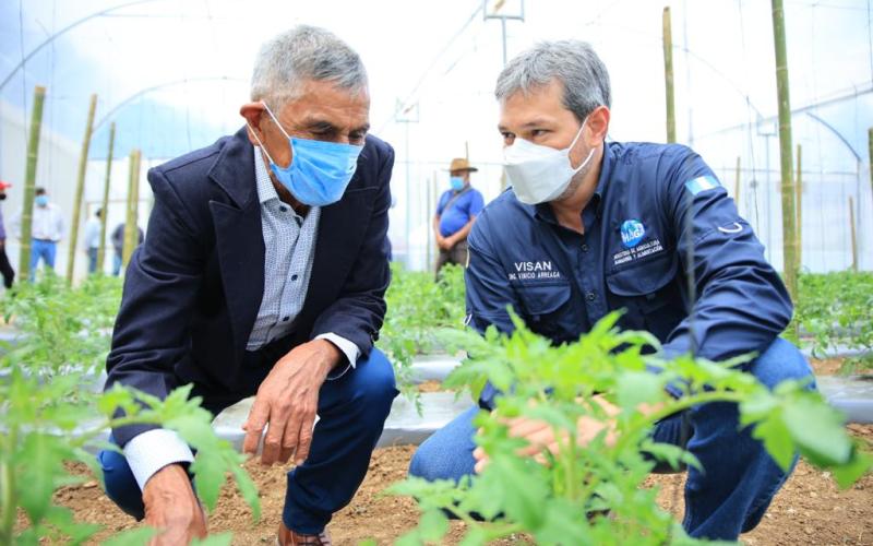 Impulsan tecnificación y buenas prácticas agrícolas en San José Pinula