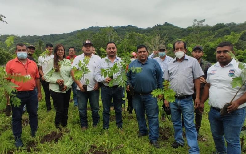 Santa Rosa cuenta con nuevas áreas reforestadas