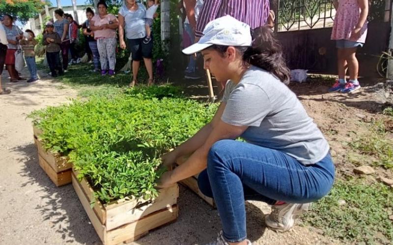 Comunidades se unen al MARN para recuperar áreas degradadas