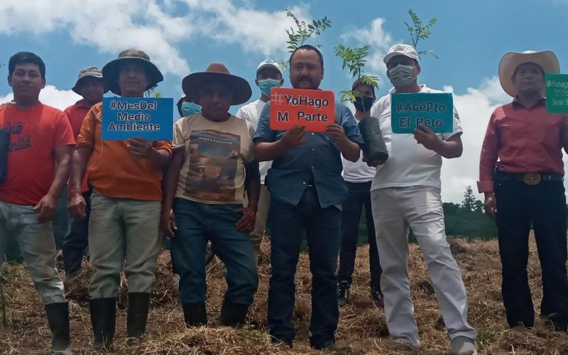 #RetoMARN: Alta Verapaz reforesta sus municipios 