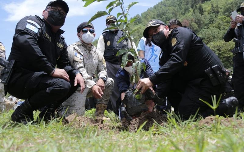 Concluye con éxito el programa “Más bosques, más vida”