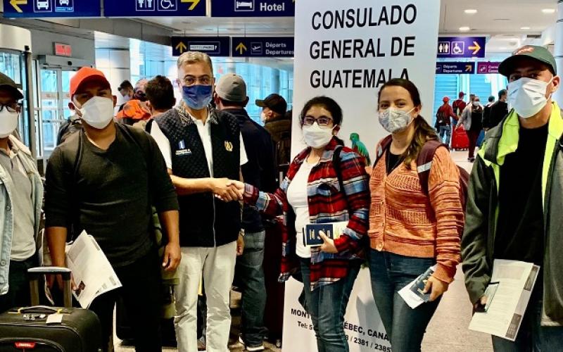 Gobierno de Guatemala recibe a 166 trabajadores temporales connacionales en Montreal, Canadá 