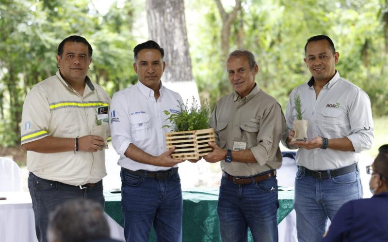 Más árboles para reforestar y restaurar Guatemala