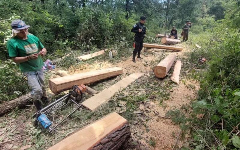 Capturan a dos personas por tala ilegal en Chimaltenango 