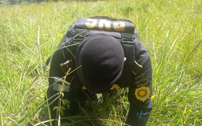 DIDAE destruye granada como anticipo de prueba