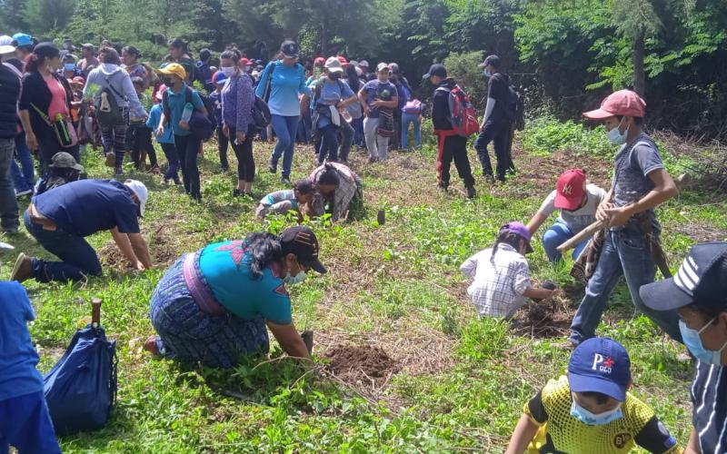 El Tejar y San Andrés Itzapa plantan más arboles