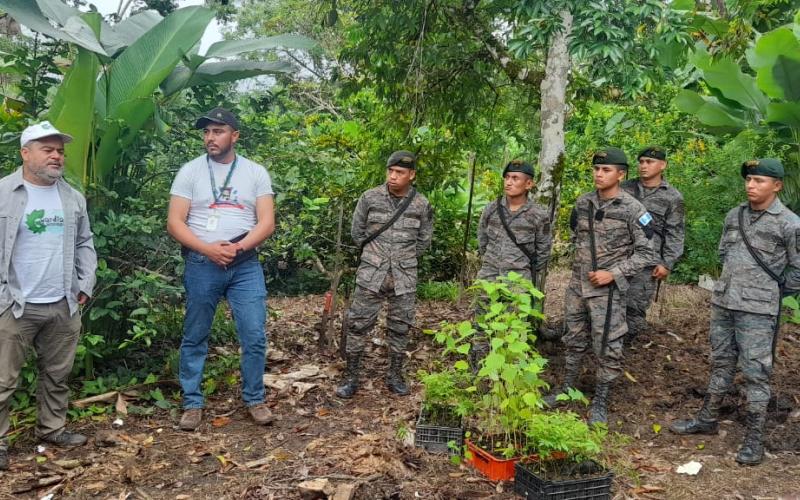 Petén avanza en el plan de reforestación con tres mil 500 árboles