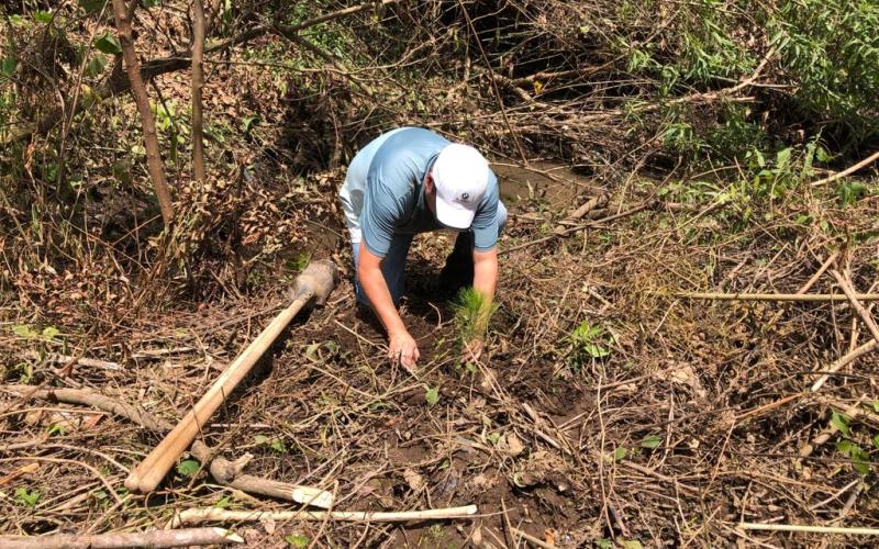 San Andrés Itzapa fortalece su cobertura forestal