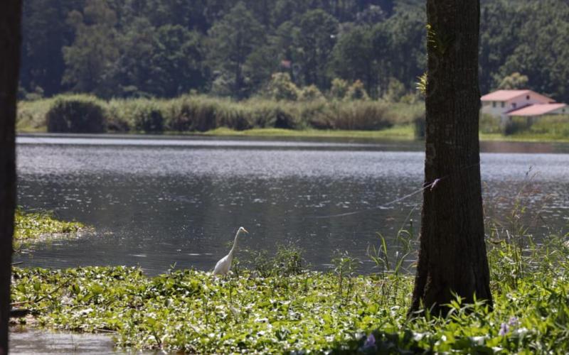 Recuperación de la Laguna Chichoj es un esfuerzo del MARN para los guatemaltecos