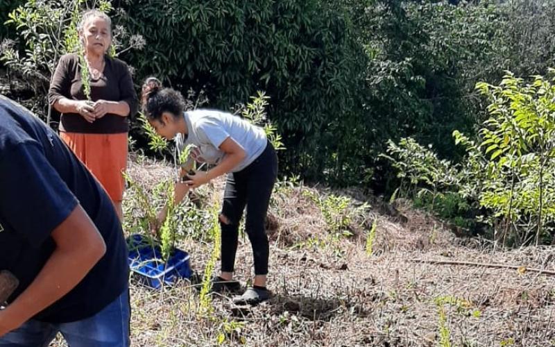 Trabajan en la conservación de la cuenca del río Hato