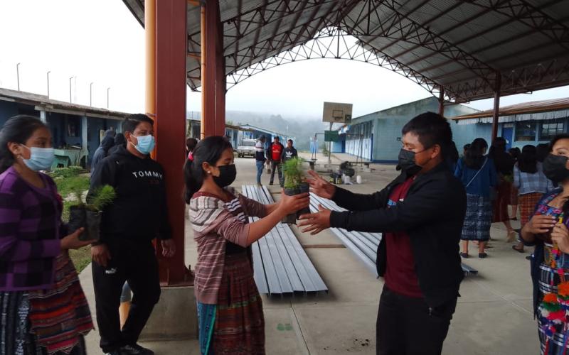 Estudiantes de Patzún plantan 500 árboles en zona de importancia ambiental