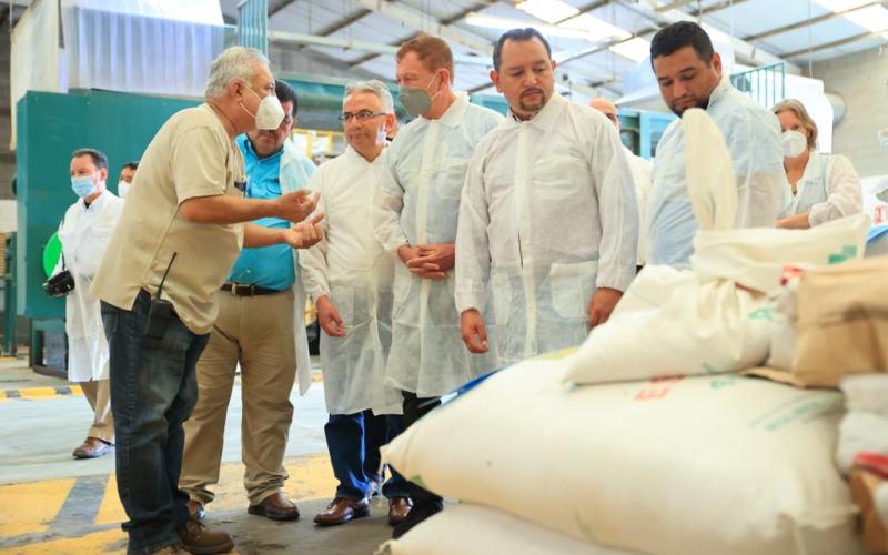 Guatemala avanza para proteger la producción de fruta libre de mosca del Mediterráneo 