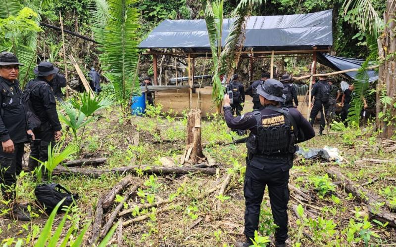 Localizan plantaciones ilícitas y un laboratorio en Alta Verapaz