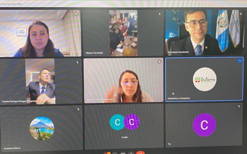 captura de pantalla de computadora de conferencia virtual con diferentes personas y funcionarios