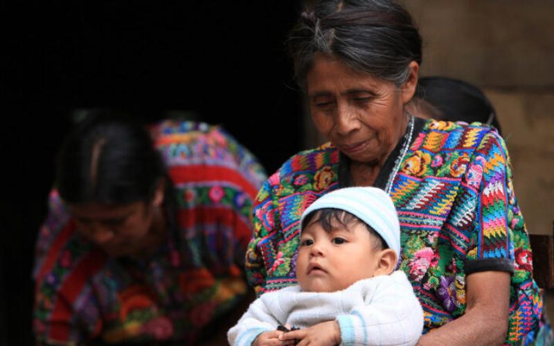 Secretaría de Seguridad Alimentaria y Nutricional 