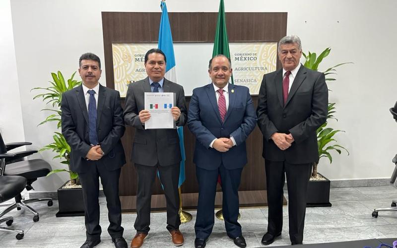 Melocotón guatemalteco logra admisibilidad en el mercado de México