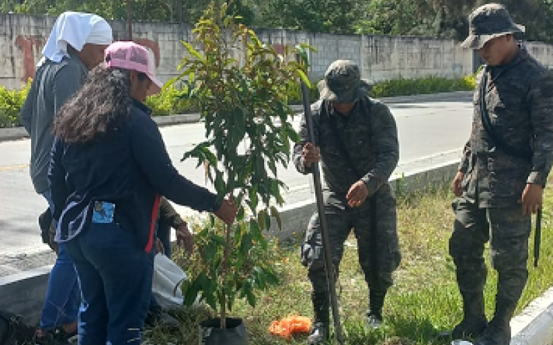 Brigada de Infantería