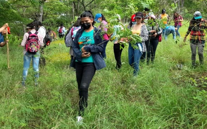 Estudiantes de San Cristóbal Acasaguastlán reforestan