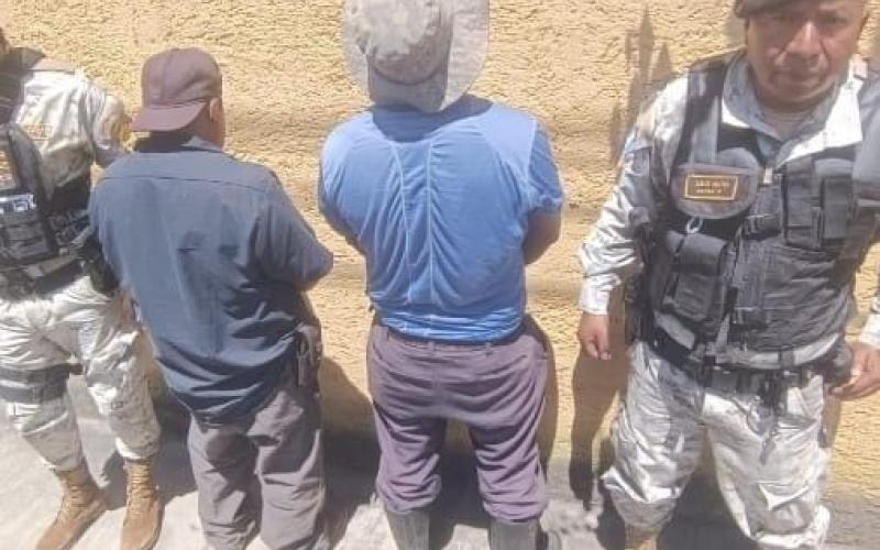 Capturan a cuatro personas por tala ilegal de producto forestal