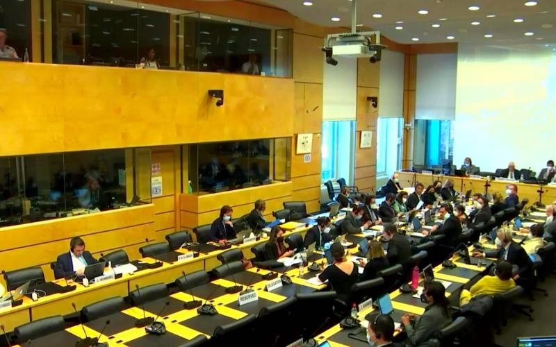 Guatemala presenta avances ambientales ante comité de la ONU