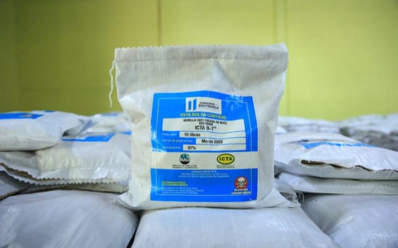 Maga entregará semilla de maíz fortificado a personas damnificadas por el ciclón tropical Julia.