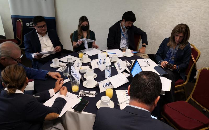  insumos para la elaboración del Cuarto Informe de Revisión Nacional Voluntaria (RNV) del cumplimiento de los ODS