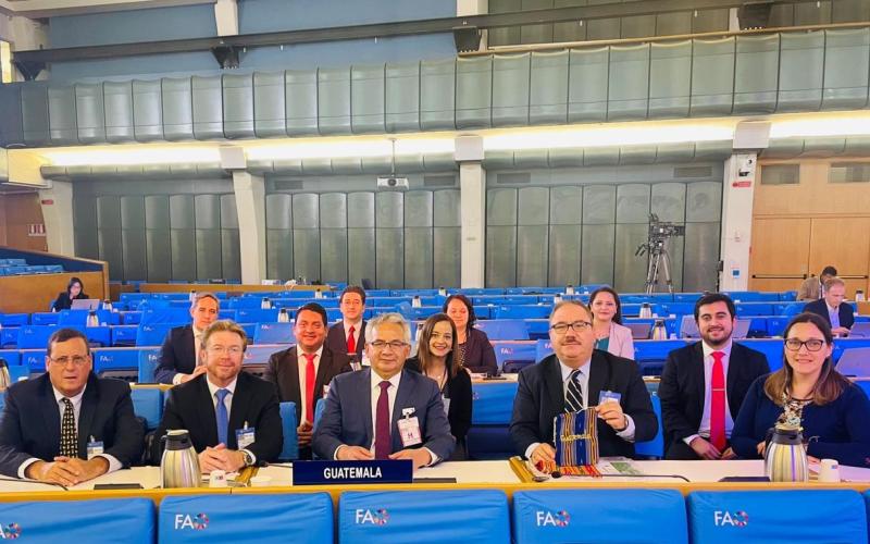 Comitiva de Guatemala