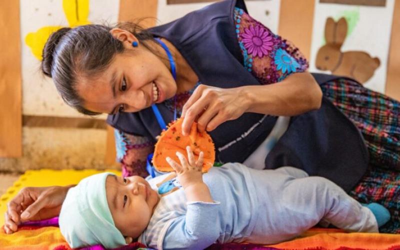 Secretaría de Seguridad Alimentaria y Nutricional 